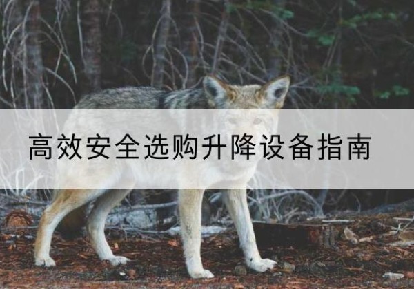 关岭升降货梯厂家推荐-*安全选购升降设备指南
