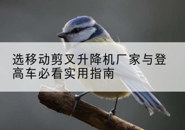 关岭电动升降机厂家-选移动剪叉升降机厂家与登高车必看实用指南