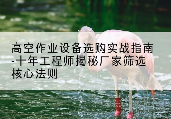 关岭剪叉式升降机厂家-高空作业设备选购实战指南-十年工程师揭秘厂家筛选核心法则