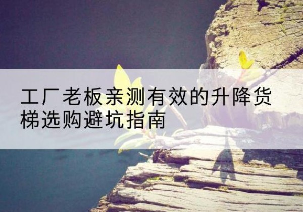 关岭升降货梯怎么选-工厂老板亲测有效的升降货梯选购避坑指南